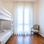 Elegant Apartment, Pisa